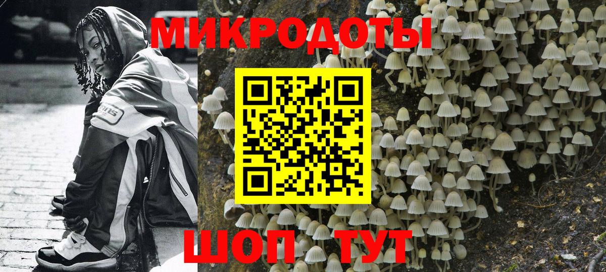 продажа наркотиков  Вход с VPN  Кстово  Псилоцибиновые грибы Psilocybe  Псилоцибиновые грибы Psilocybe 