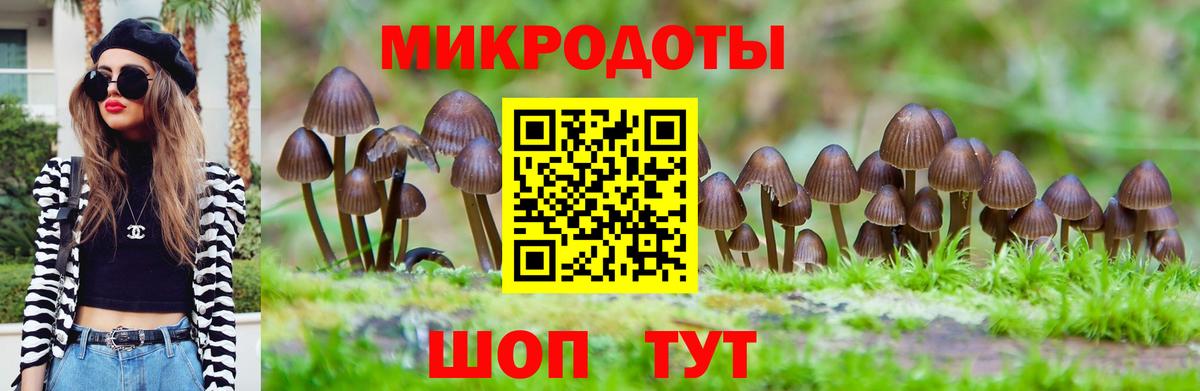 Псилоцибиновые грибы мицелий Кстово